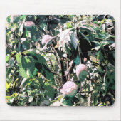 Mangobaum Mousepad (Vorne)