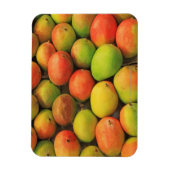 Mangos, Spanien, Katalonien, Barcelona, La Boqueri Magnet (Vertikal)