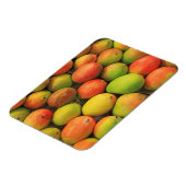 Mangos, Spanien, Katalonien, Barcelona, La Boqueri Magnet (Linke Seite)
