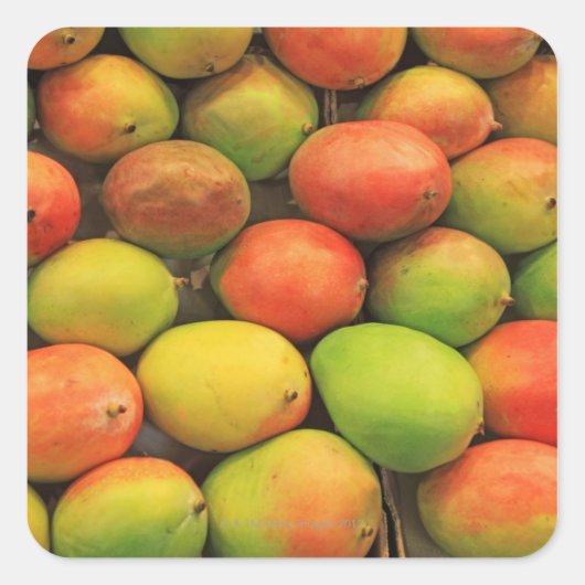 Mangos, Spanien, Katalonien, Barcelona, La Boqueri Quadratischer Aufkleber (Vorderseite)