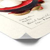 Mangostanen (Garcinia Mangostana) Obstmalerei Poster (Ecke)