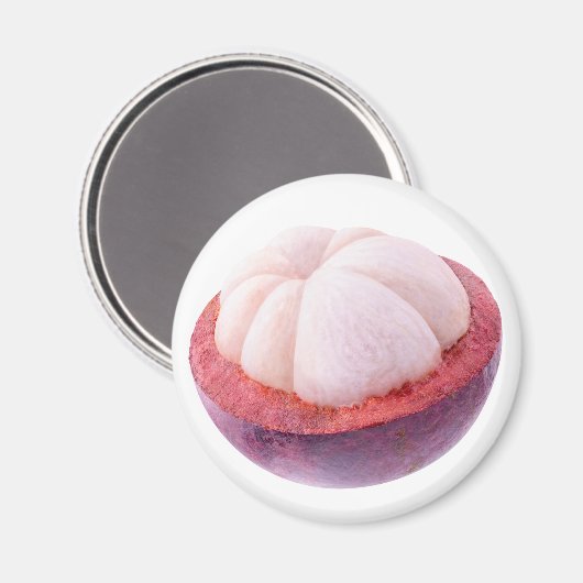 Mangostanhalle Magnet (Vorderseite/Rückseite)