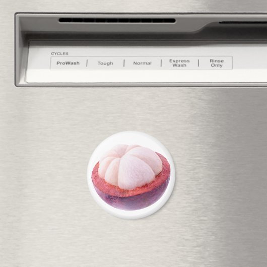 Mangostanhalle Magnet (In Situ (Geschirrspüler))