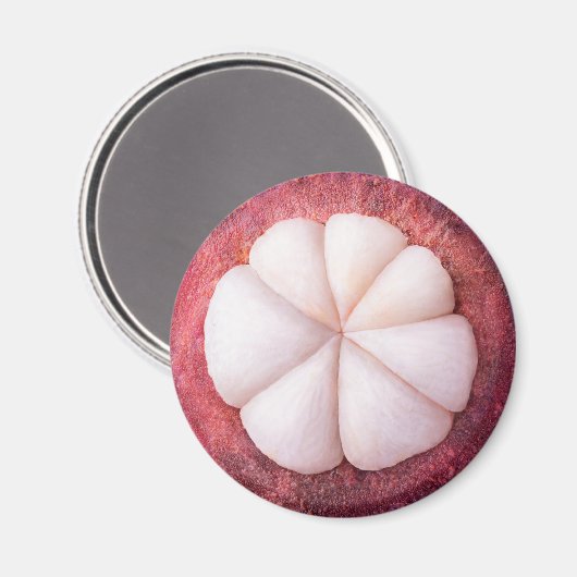 Mangostanteil Magnet (Vorderseite/Rückseite)