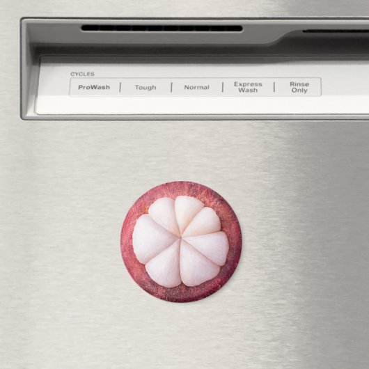 Mangostanteil Magnet (In Situ (Geschirrspüler))