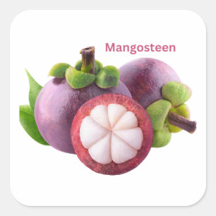 Mangosteen-Frucht-Aufkleber Quadratischer Aufkleber