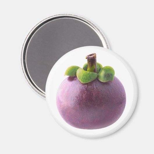 Mangosteen Magnet (Vorderseite/Rückseite)