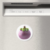 Mangosteen Magnet (In Situ (Geschirrspüler))