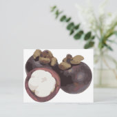 Mangosteen Sweet and Tangy Frucht aus Thailand Postkarte (Stehend Vorderseite)