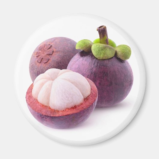 Mangosteens Magnet (Vorne)