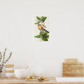 Mangrove Cuckoo von Audubon Poster (Küche)