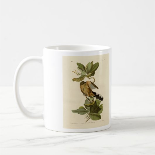 Mangrove Cuckoo von Audubons Vögeln von Amerika Kaffeetasse (Links)