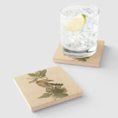 Mangrove Cuckoo von Audubons Vögeln von Amerika Steinuntersetzer (Seitenansicht)