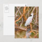 Mangrove Egret Nr. 2 Postkarte (Vorne/Hinten)