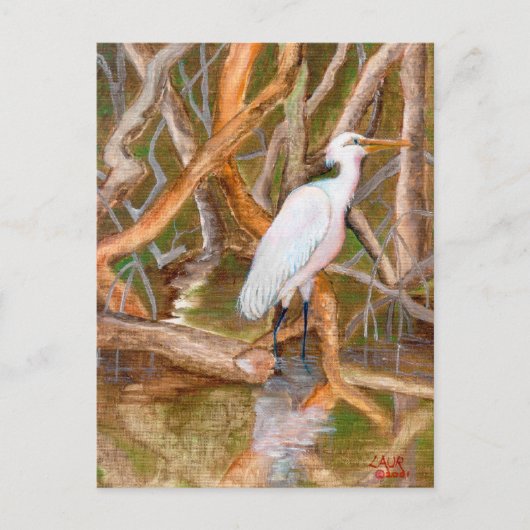 Mangrove Egret Nr. 2 Postkarte (Vorderseite)