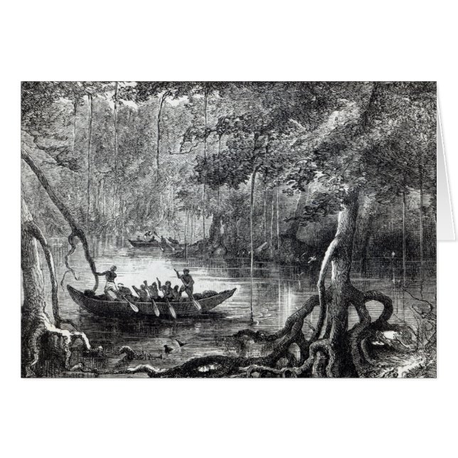 Mangrove Forest (Vorderseite (Horizontal))