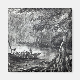 Mangrove Forest Magnet