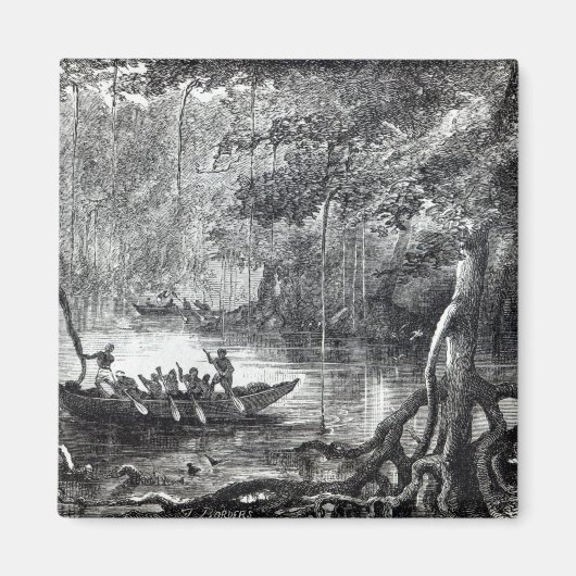 Mangrove Forest' Magnet (Vorne)