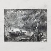 Mangrove Forest' Postkarte (Vorderseite)