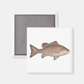 Mangrove-Jack Magnet (Vorderseite/Rückseite)