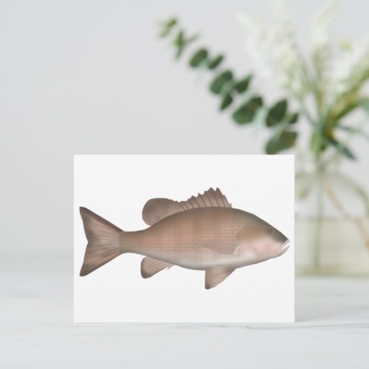 Mangrove-Jack Postkarte (Stehend Vorderseite)