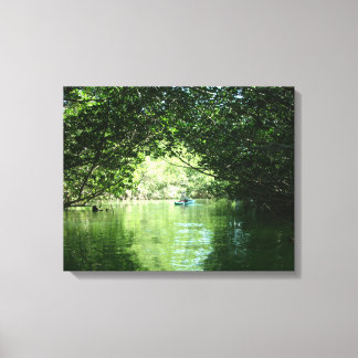 Mangrove Kayaking Leinwanddruck