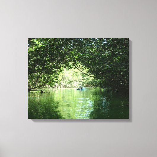 Mangrove Kayaking Leinwanddruck (Vorderseite)