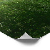 Mangrove Kayaking Poster (Ecke)