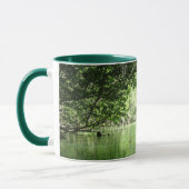 Mangrove Kayaking Tasse (Links)