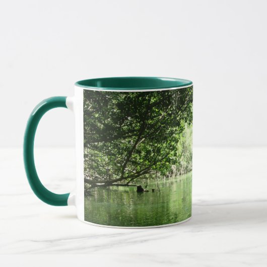 Mangrove Kayaking Tasse (Links)