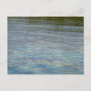 Mangrove Lagoon Water Caribbean Blue Postkarte