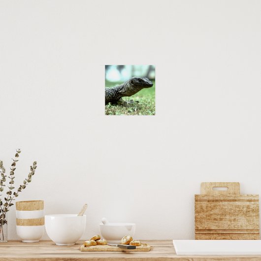 Mangrove Monitor Poster (Küche)