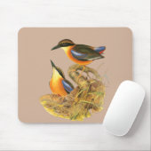 Mangrove Pitta Mousepad (Mit Mouse)