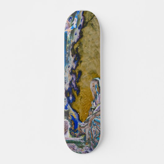 Mangrove Roots Skateboard (Vorne)