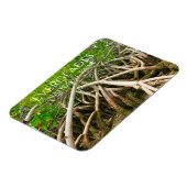 Mangrove Stilt Roots, Sumpf, Everglades Magnet (Linke Seite)