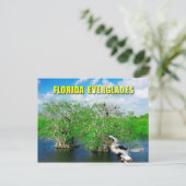 Mangrove Trees & Anhinga, Florida Everglades Postkarte (Stehend Vorderseite)