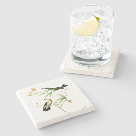 Mangroven-Kolibri Steinuntersetzer (Seitenansicht)