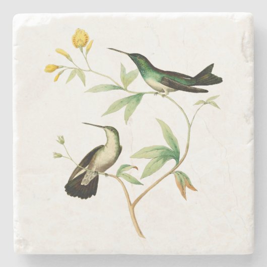 Mangroven-Kolibri Steinuntersetzer (Vorderseite)