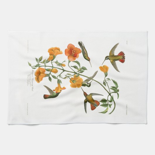 Mangroven-Summenvogel Audubon Vögel von Amerika Geschirrtuch (Horizontal)