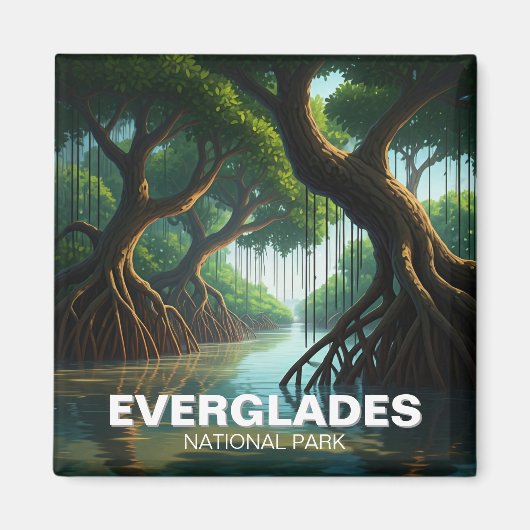 Mangroves Everglades Nationalpark Florida Magnet (Vorne)