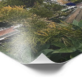 Manhattan Beach, California Foto (Ecke)