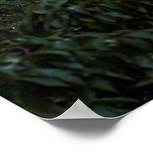 Manhattan Gebäude View Poster (Ecke)