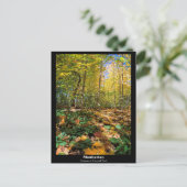 Manhattan, Herbst im Central Park Postcard Postkarte (Stehend Vorderseite)