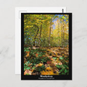 Manhattan, Herbst im Central Park Postcard Postkarte (Vorne/Hinten)