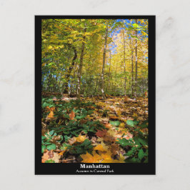 Manhattan, Herbst im Central Park Postcard Postkarte