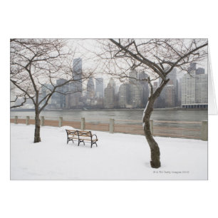 Manhattan im Winter