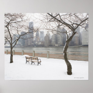 Manhattan im Winter Poster