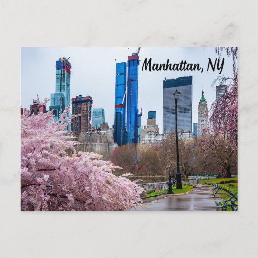 Manhattan, NY Cherry Blossom im Frühjahr Postkarte (Vorderseite)