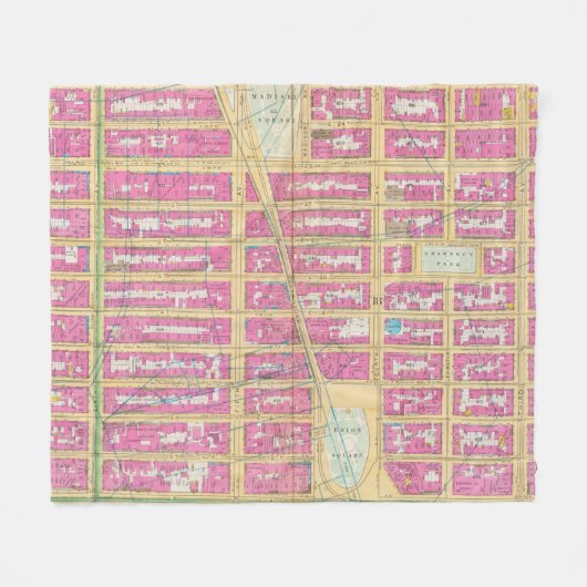 Manhatten, New York 12 Fleecedecke (Vorderseite (Horizontal))