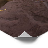 Manido Falls Poster (Ecke)